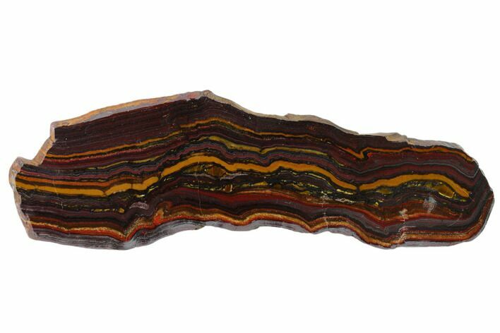 Polished Tiger Iron Stromatolite Slab - Billion Years #161861